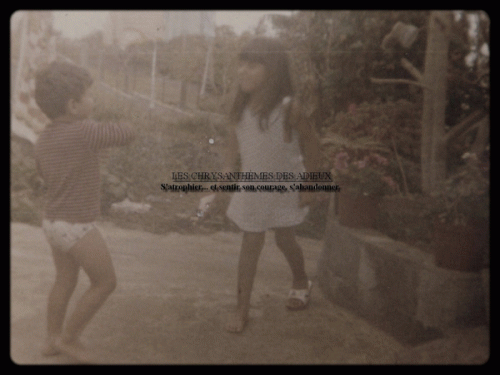 Les Chrysanthèmes Des Adieux : S'Atrophier... et Sentir Son Courage, s'Abandonner